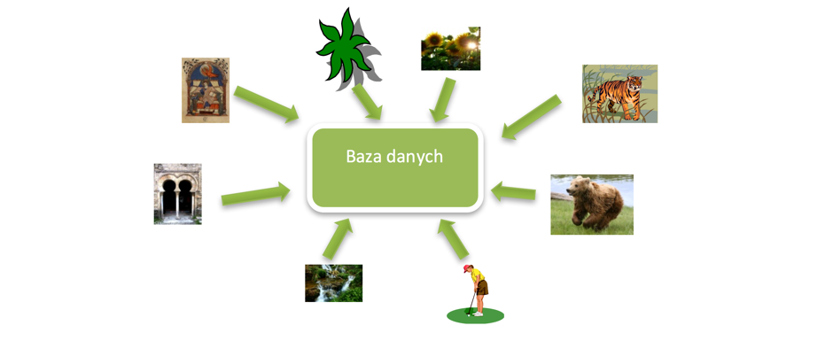 Bazy danych dla każdego